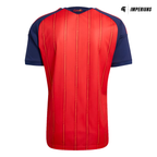 Camisa Espanha FWC26 Home
