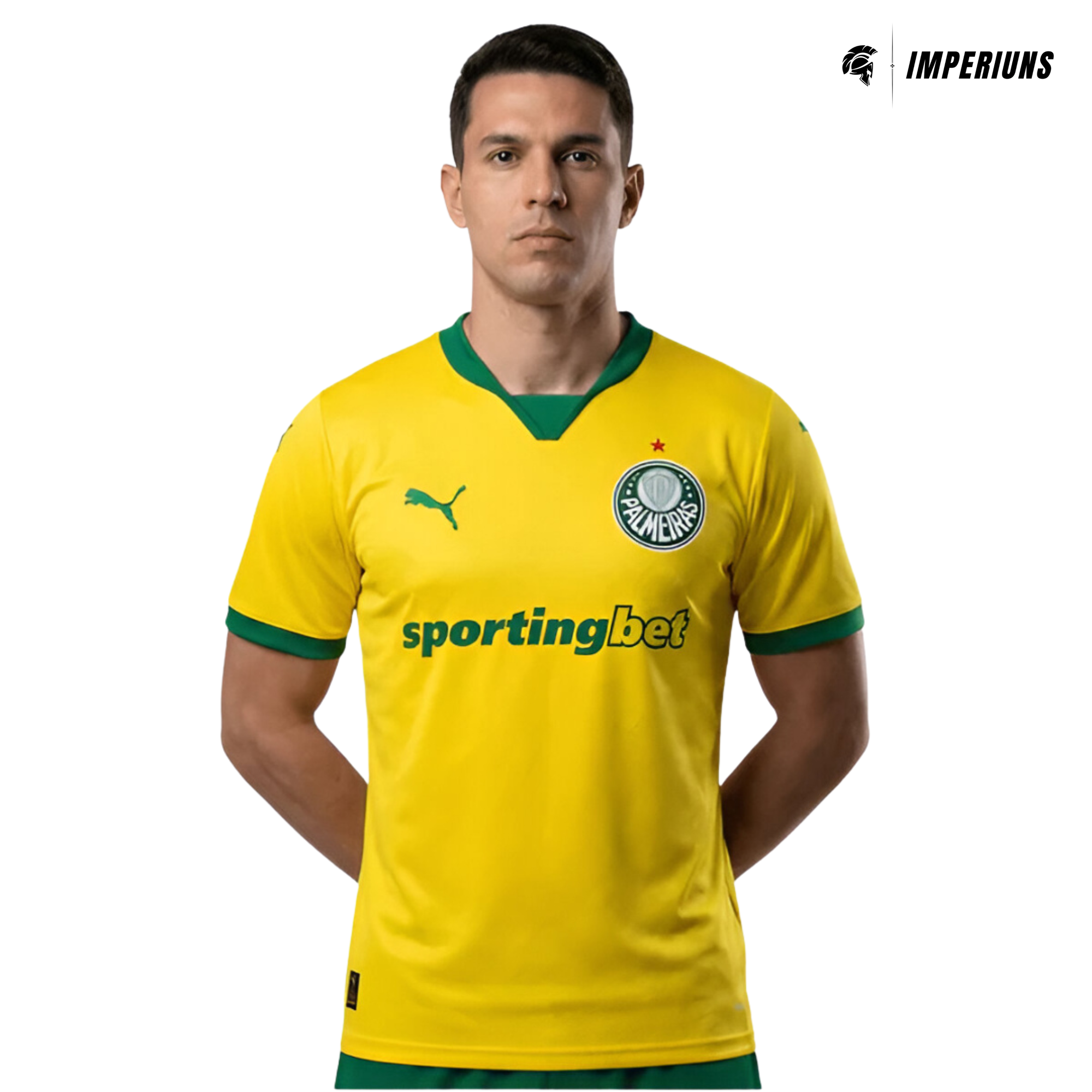 Camisa Palmeiras 25/26 Third