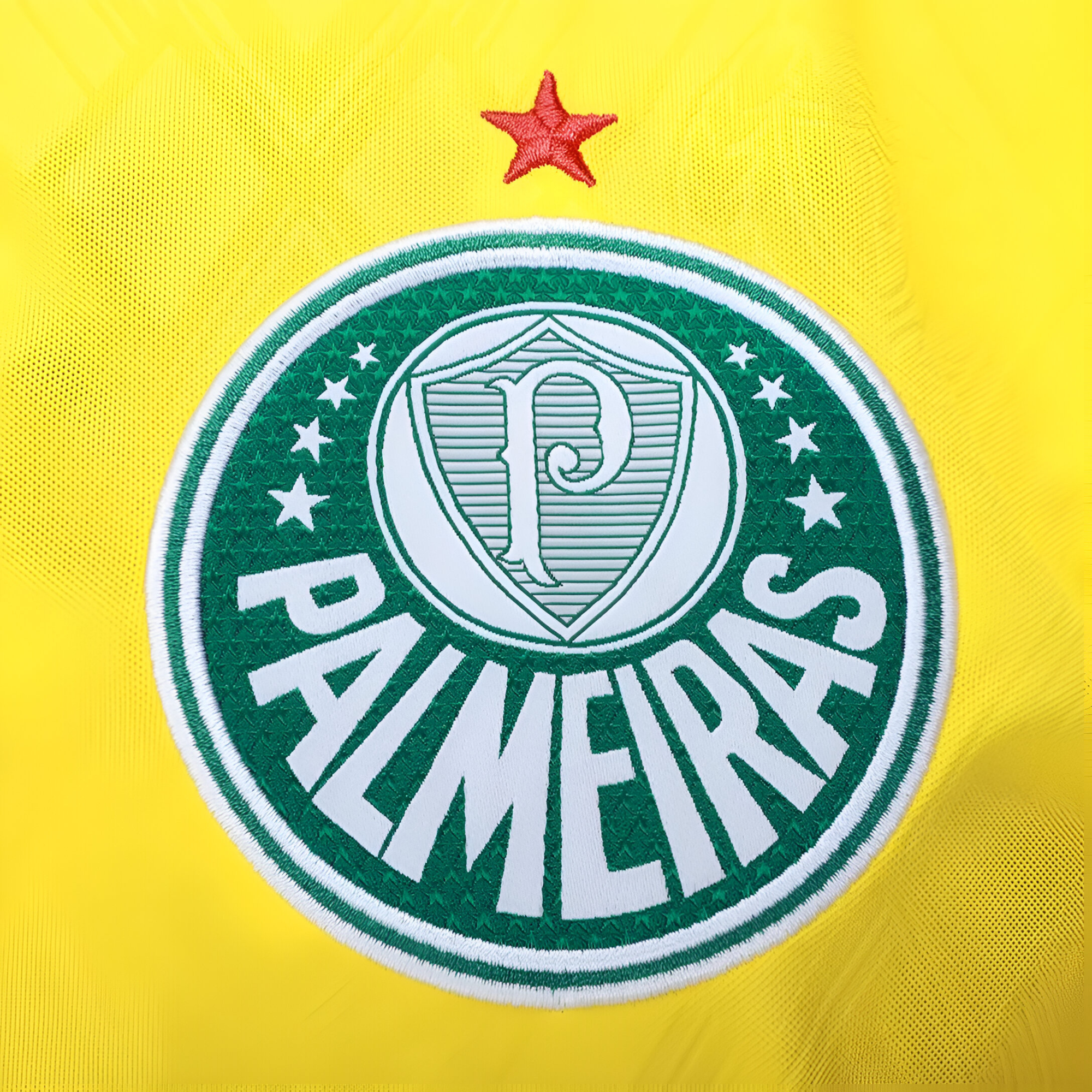 Camisa Palmeiras 25/26 Third