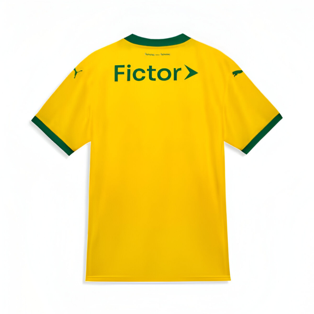 Camisa Palmeiras 25/26 Third