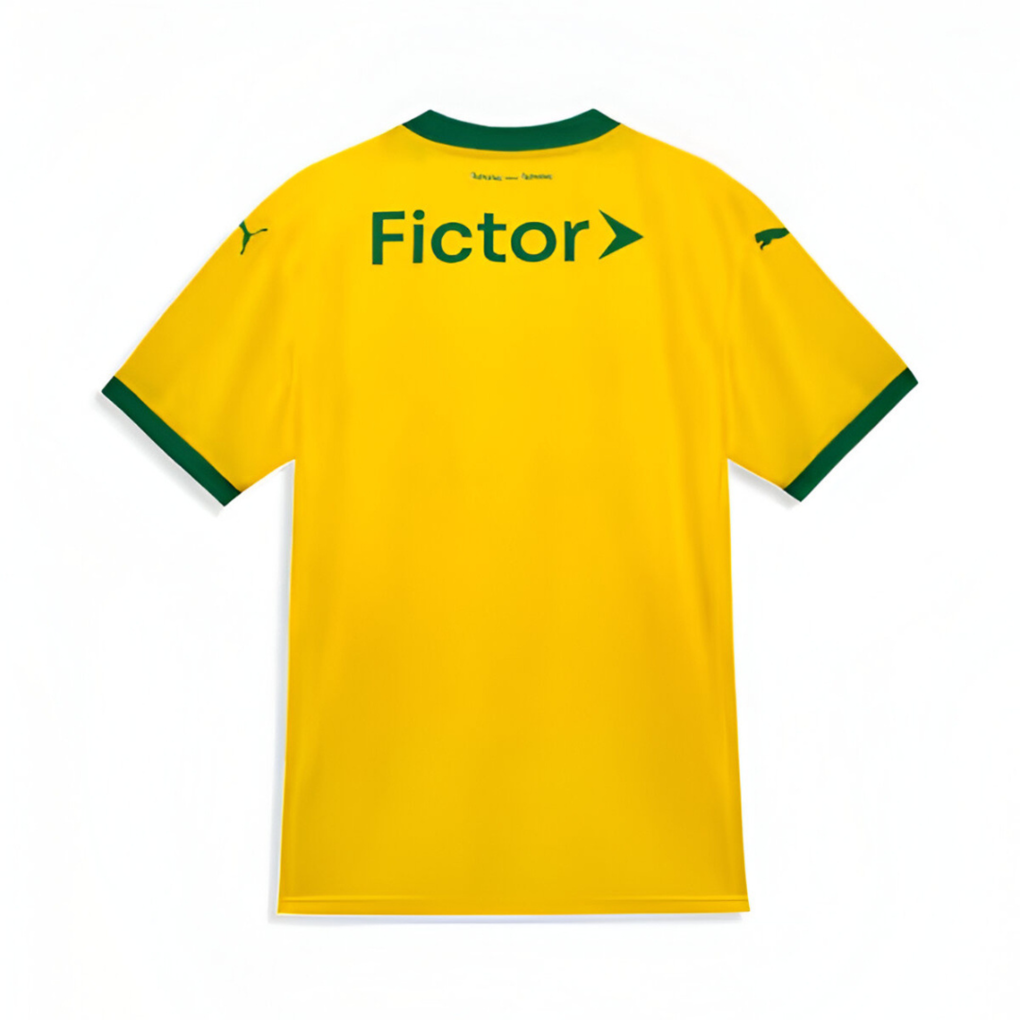 Camisa Palmeiras 25/26 Third