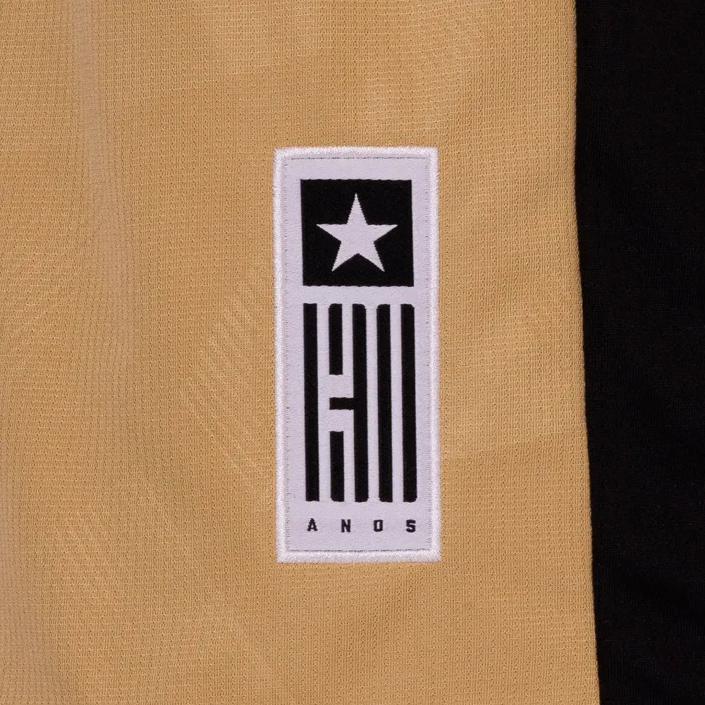Camisa Botafogo 2024/25 Goleiro Away Camisas de Futebol