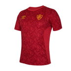 Camisa Fluminense 2024/25 Treino Camisas de Futebol
