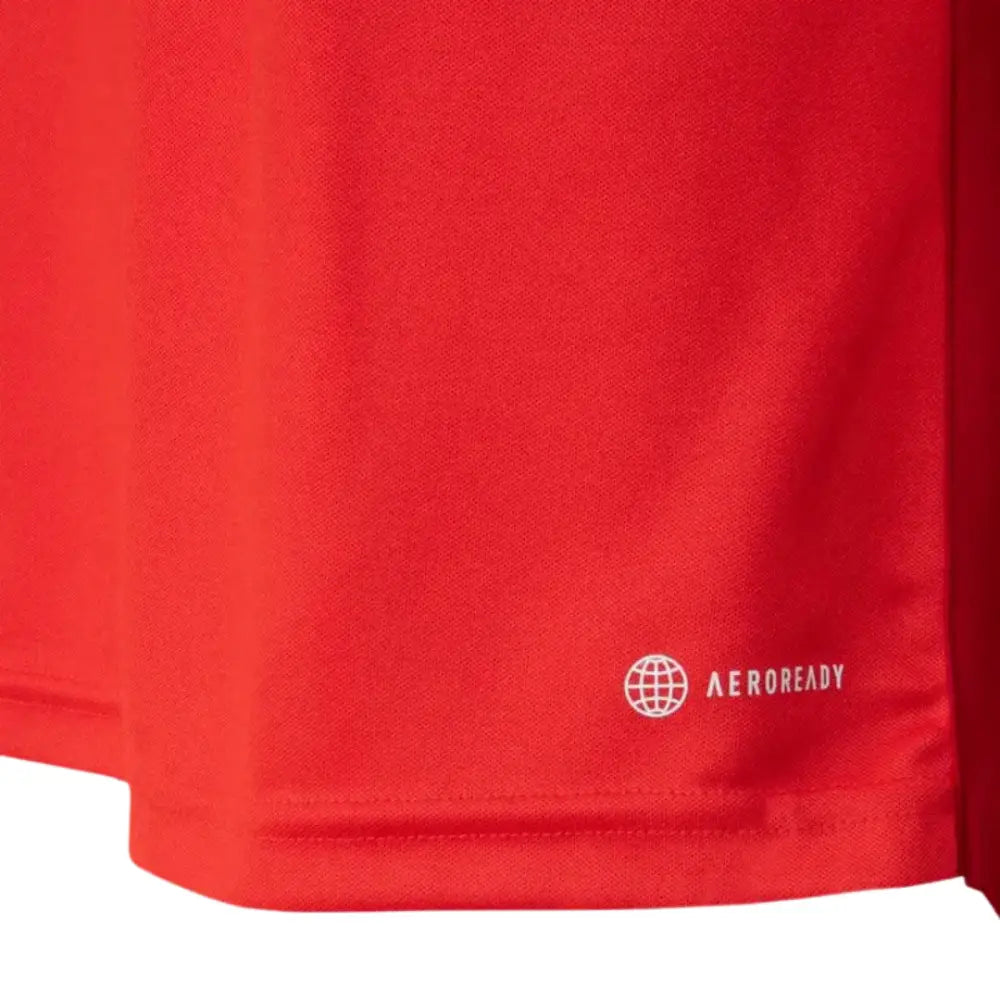Camisa Internacional 2023/24 Home Camisas de Futebol