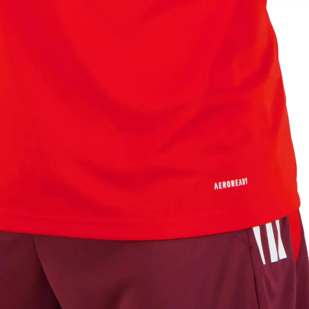 Camisa Internacional 2024/25 Treino Camisas de Futebol