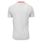 Camisa Internacional 2025/26 Treino Cinza Camisas de Futebol