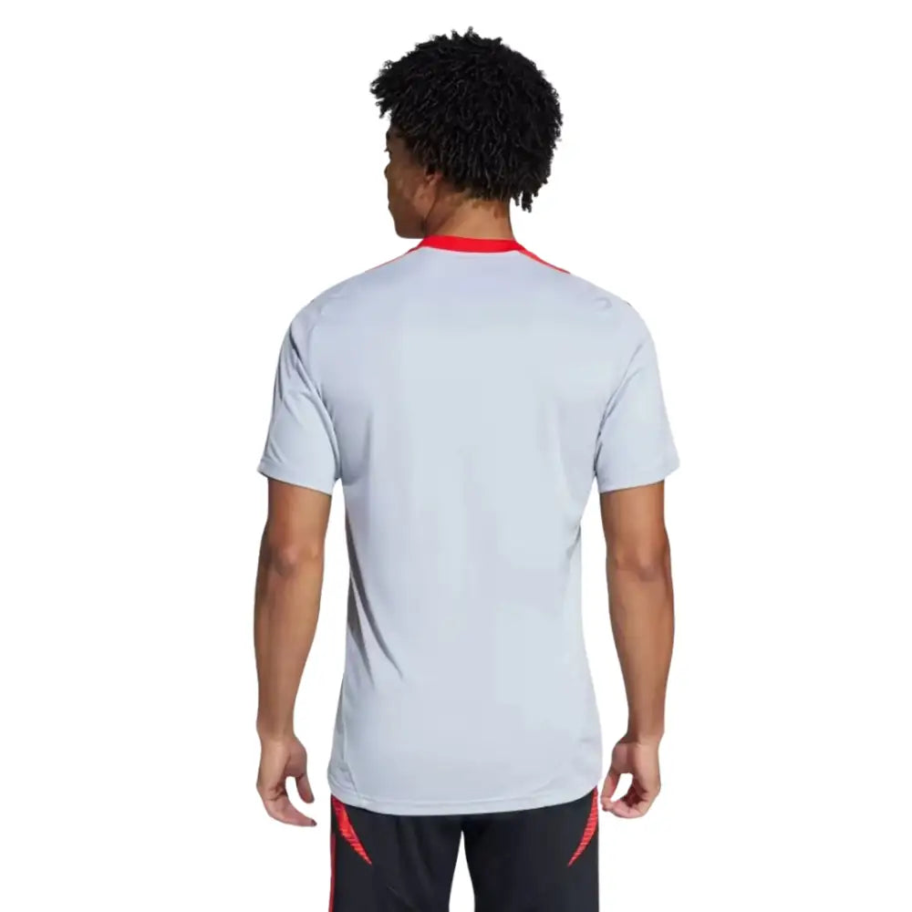 Camisa Internacional 2025/26 Treino Cinza Camisas de Futebol