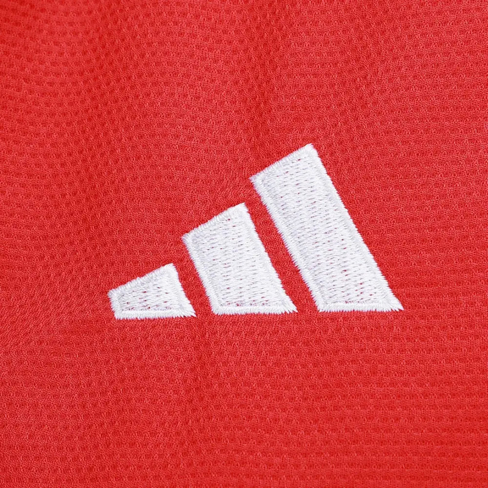 Camisa Internacional Feminina 2025/26 Home Camisas de Futebol