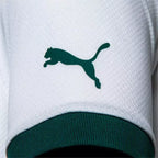 Camisa Palmeiras 23/24 Away Camisas de Futebol