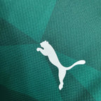 Camisa Palmeiras 23/24 Home Camisas de Futebol