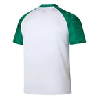 Camisa Palmeiras 23/24 Pré Jogo Camisas de Futebol