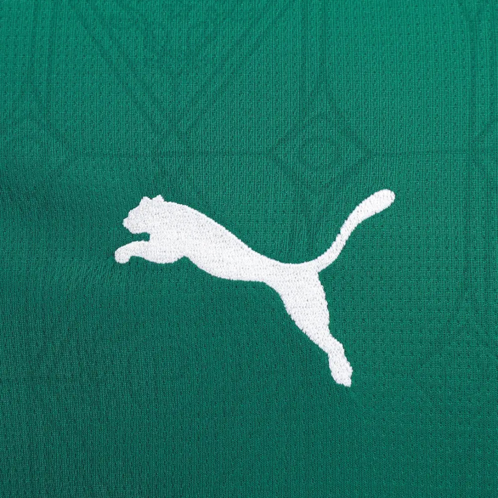Camisa Palmeiras 25/26 Home Camisas de Futebol