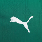 Camisa Palmeiras 25/26 Home Camisas de Futebol