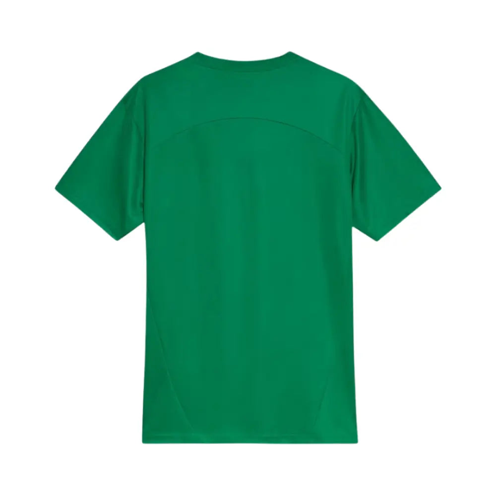 Camisa Palmeiras 25/26 Treino Camisas de Futebol