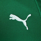 Camisa Palmeiras ABEL Motorsport Camisas de Futebol
