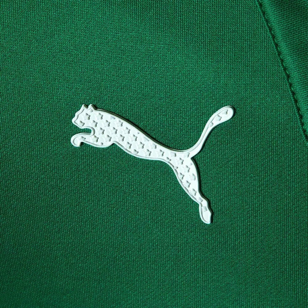 Camisa Palmeiras ABEL Motorsport Camisas de Futebol