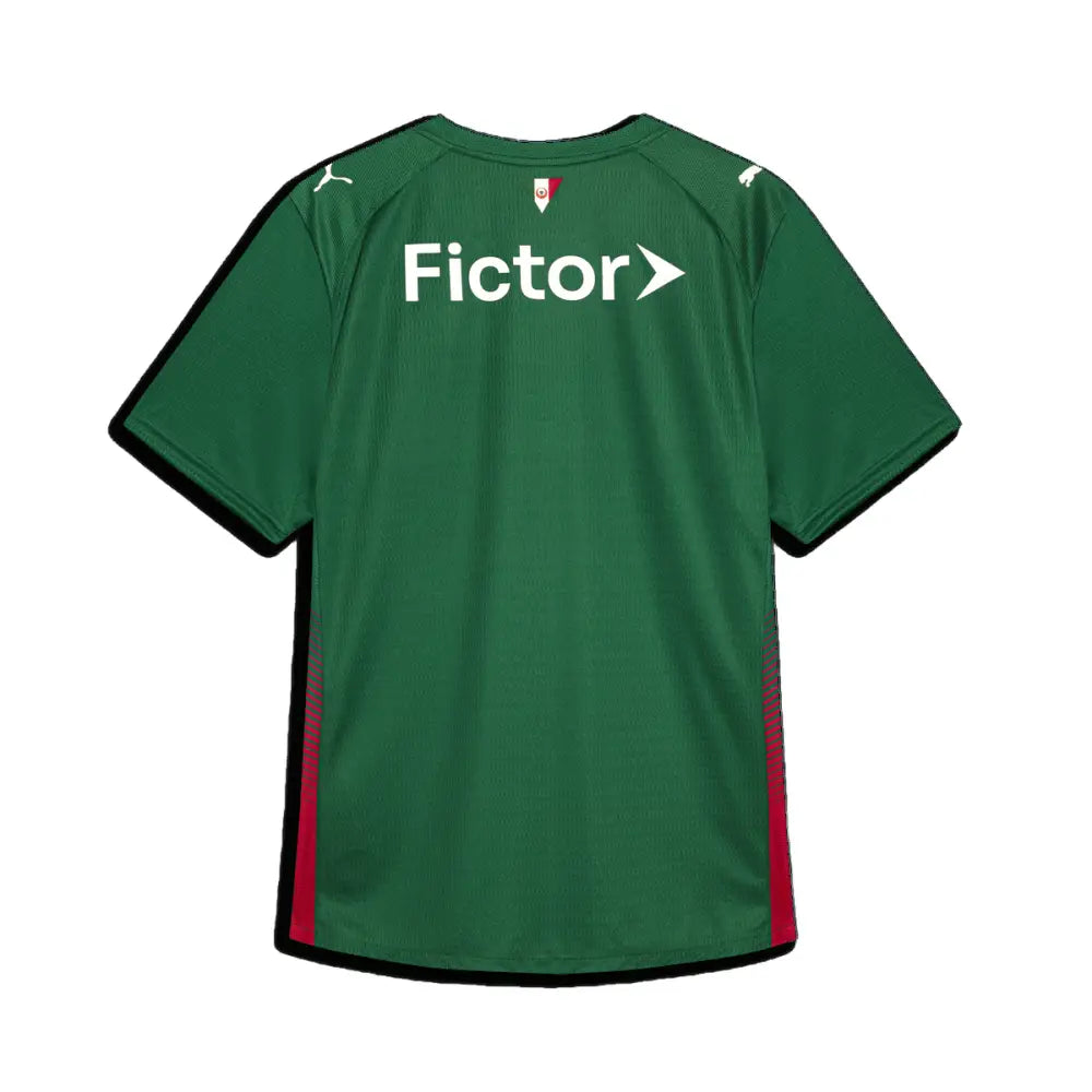 Camisa Palmeiras Home JOGADOR 26/27 Camisas de Futebol