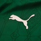 Camisa Palmeiras JOGADOR 25/26 Home Camisas de Futebol