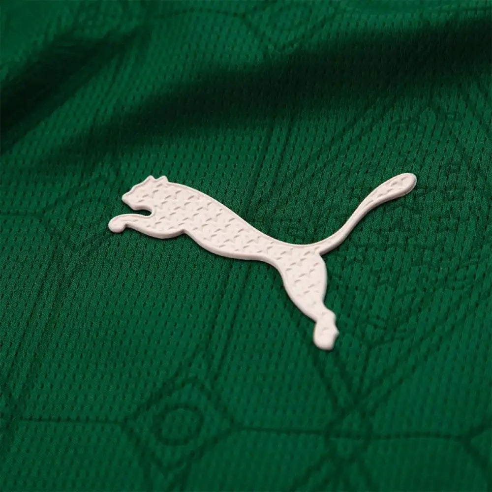 Camisa Palmeiras JOGADOR 25/26 Home Camisas de Futebol