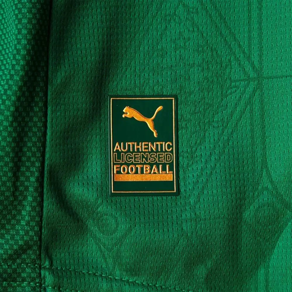 Camisa Palmeiras JOGADOR 25/26 Home Camisas de Futebol