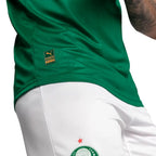 Camisa Palmeiras JOGADOR 25/26 Home Camisas de Futebol