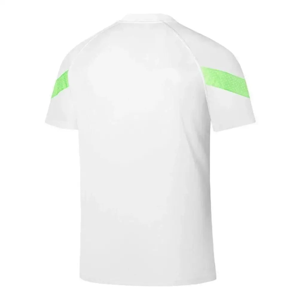 Camisa Palmeiras Puma 23/24 Treino Camisas de Futebol