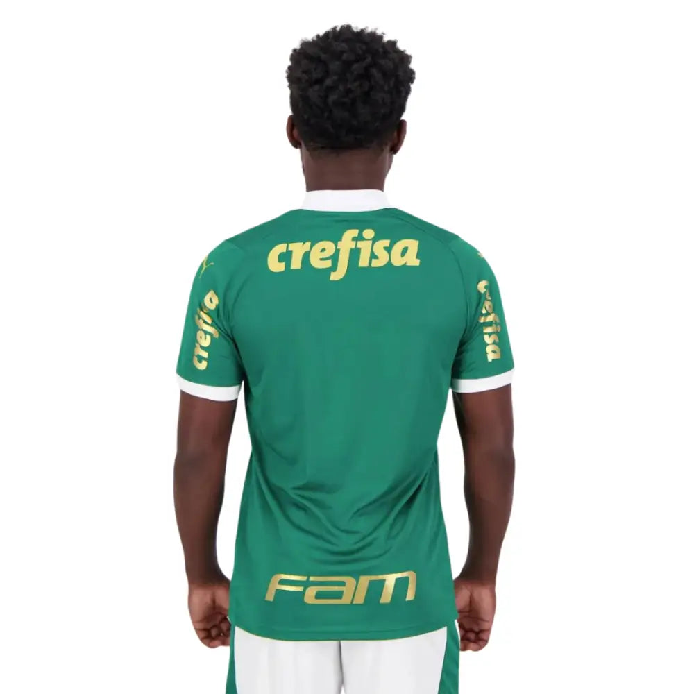 Camisa Palmeiras Todos Patrocinadores 2024/25 Home Camisas de Futebol