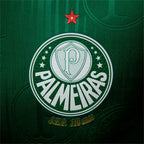 Camisa Palmeiras Versão Jogador 24/25 Home Camisas de Futebol