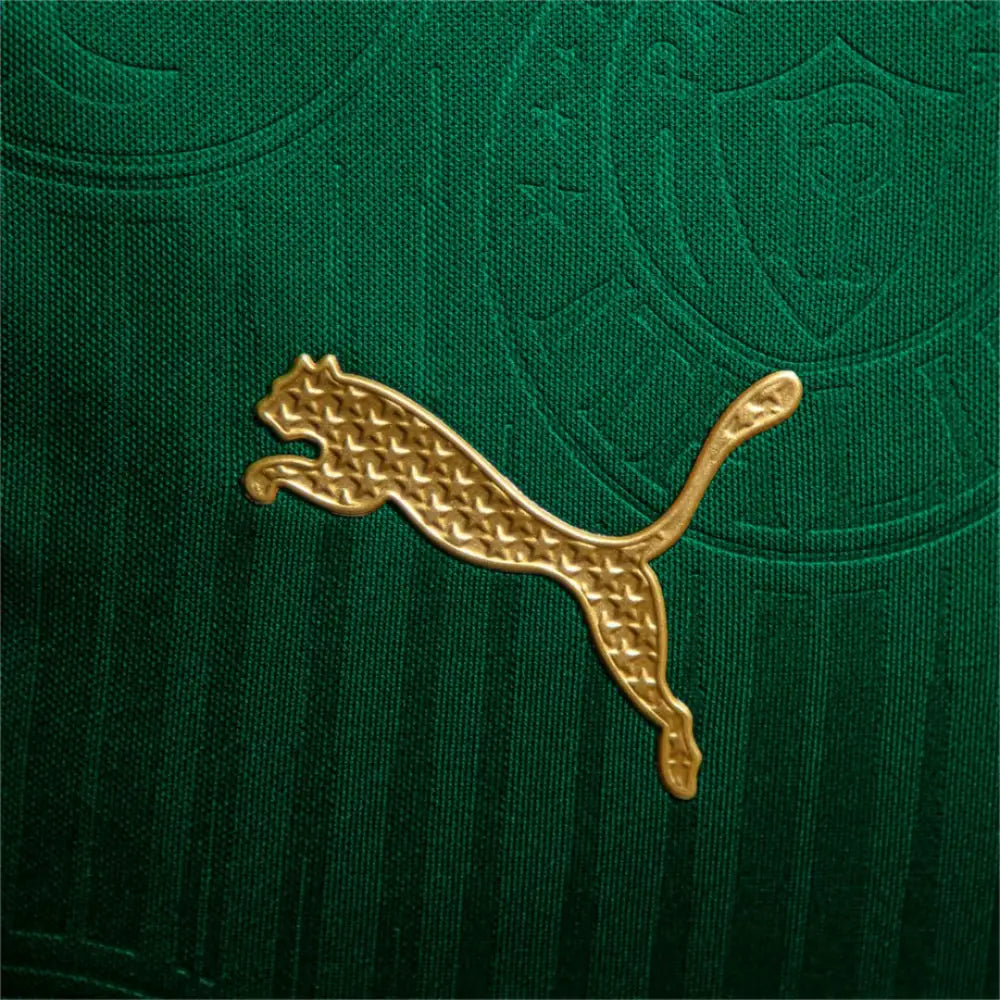Camisa Palmeiras Versão Jogador 24/25 Home Camisas de Futebol