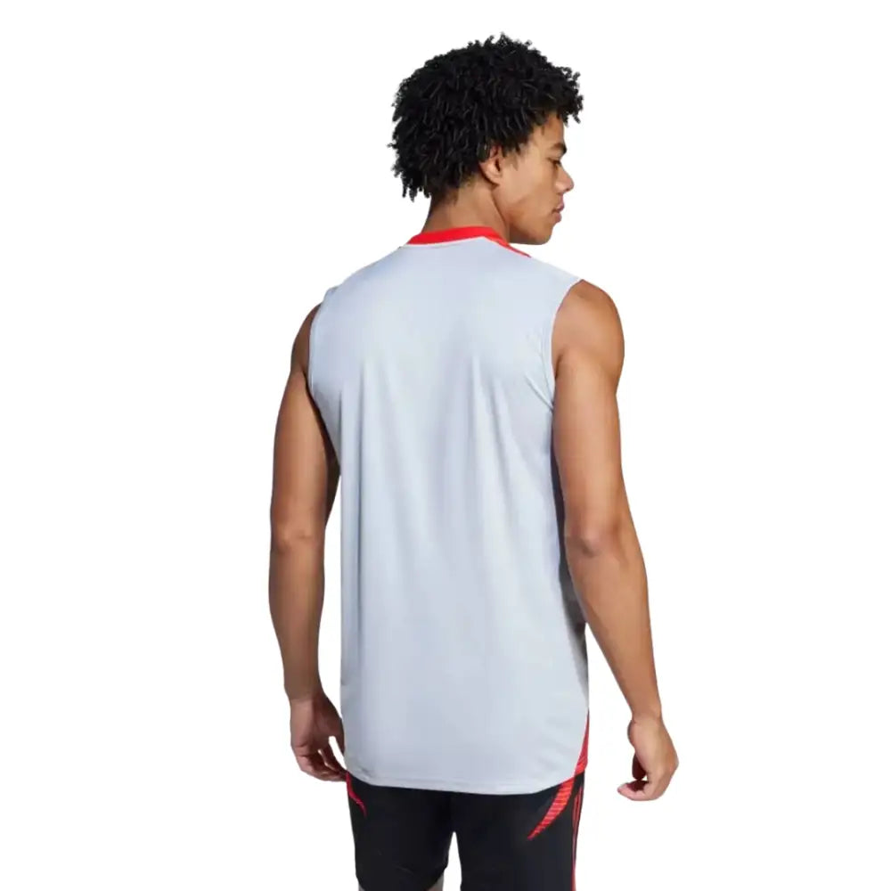 Camisa Regata Internacional 2025/26 Treino Cinza Camisas de Futebol