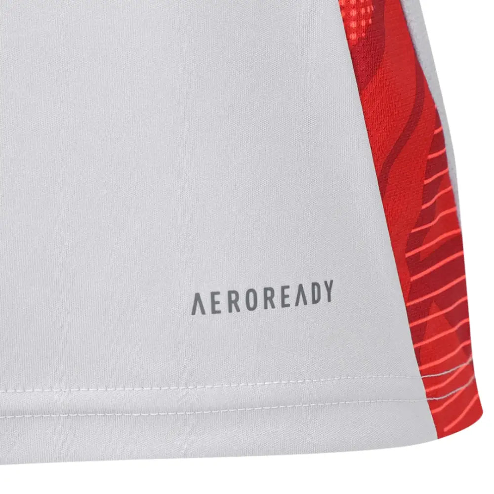 Camisa Regata Internacional 2025/26 Treino Cinza Camisas de Futebol