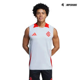 Camisa Regata Internacional 2025/26 Treino Cinza