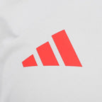 Camisa Regata Internacional 2025/26 Treino Cinza Camisas de Futebol