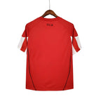 Camisa Retrô Bayern de Munique 2010/11 Home Camisas de Futebol