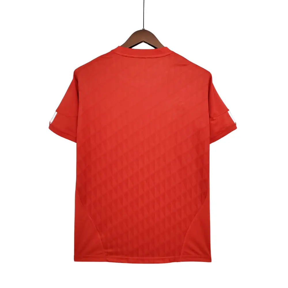 Camisa Retrô Liverpool 2010/11 Home Camisas de Futebol