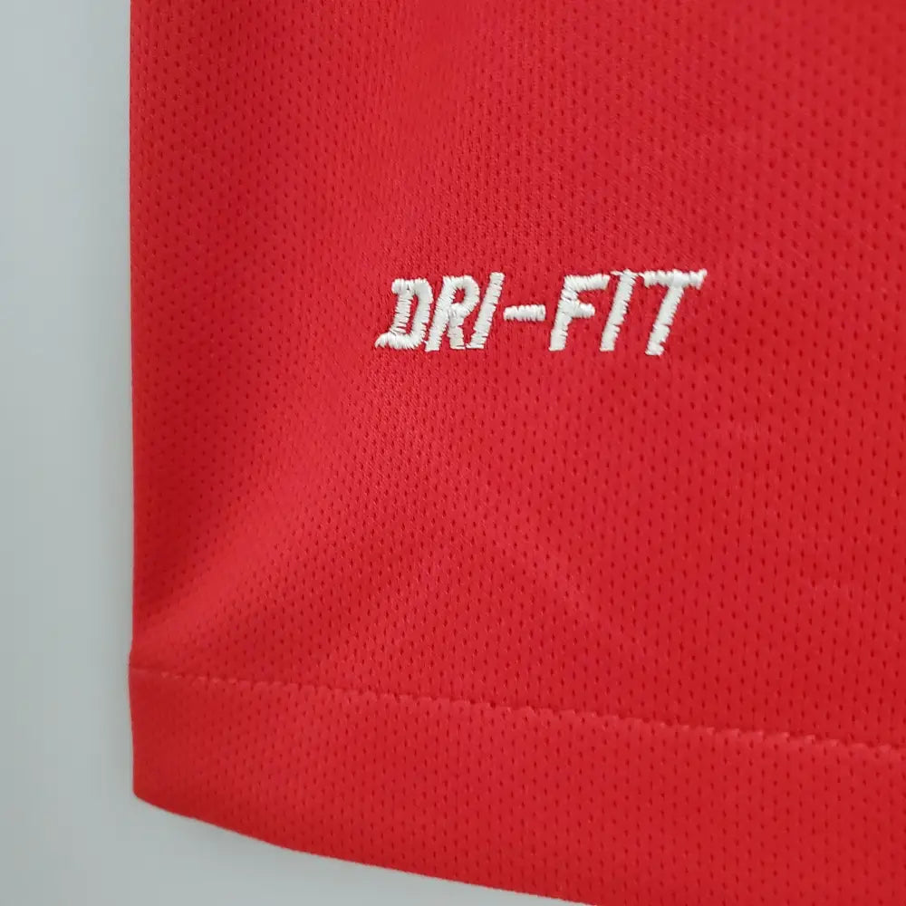 Camisa Retrô Seleção Portugal 2016/16 Home Camisas de Futebol